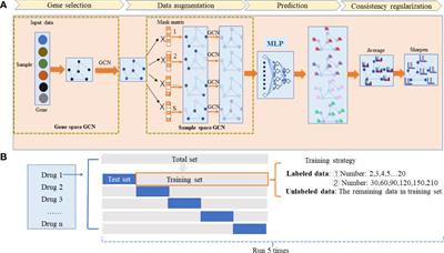 HiRAND: A novel GCN semi-supervised deep learning-based framework for classification and feature selection in drug research and development